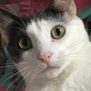 Meet your Posher, Madelynn